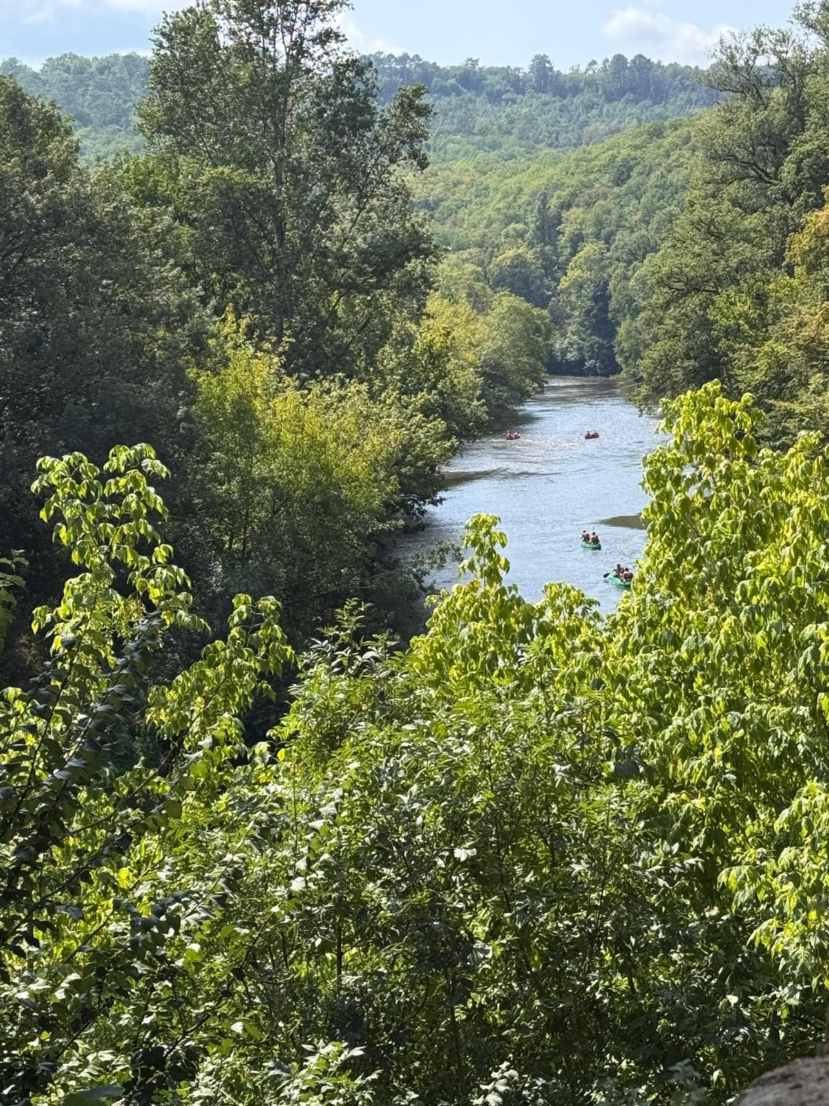 Rivier tussen beboste heuvels met kanoërs op het water